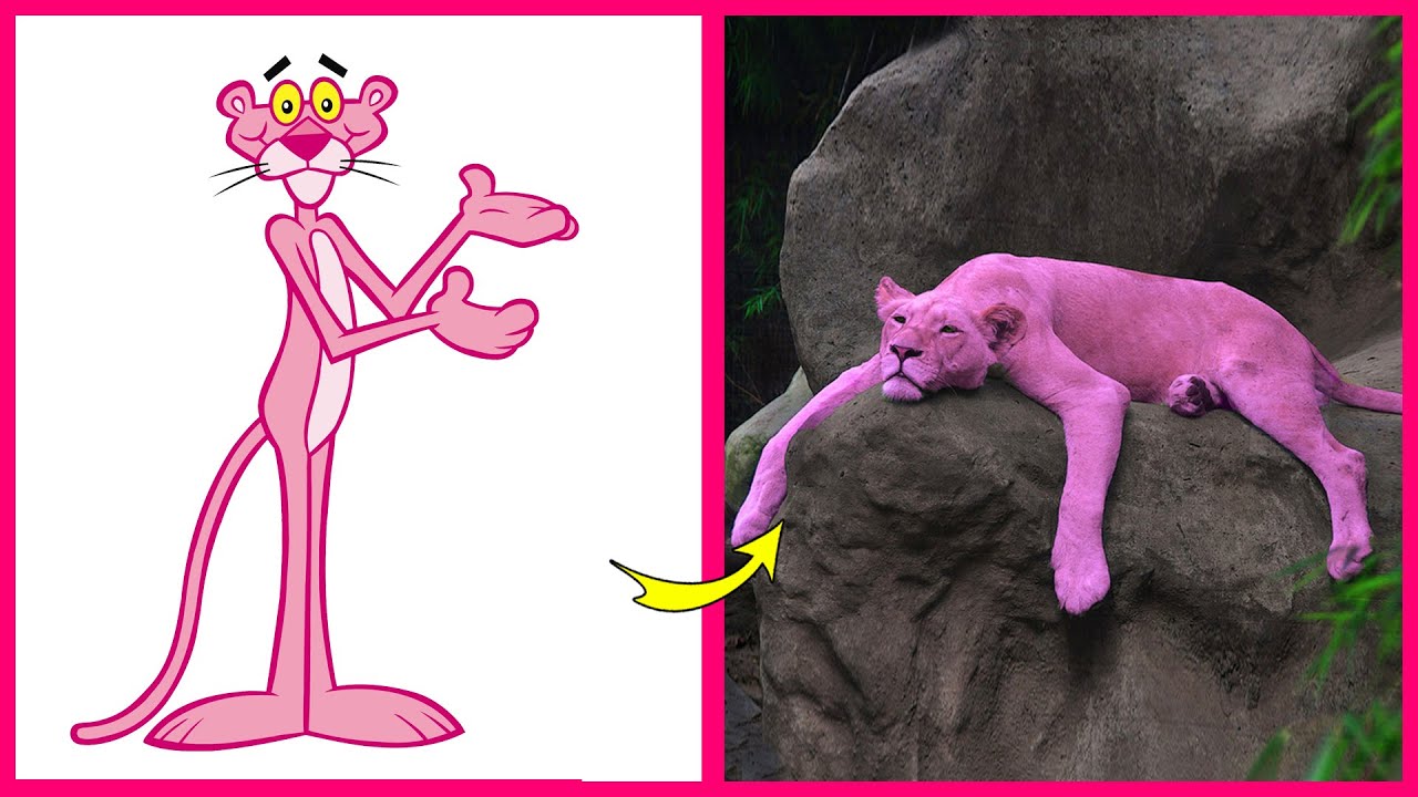 La Pandilla De La Pantera Rosa En La Vida Real