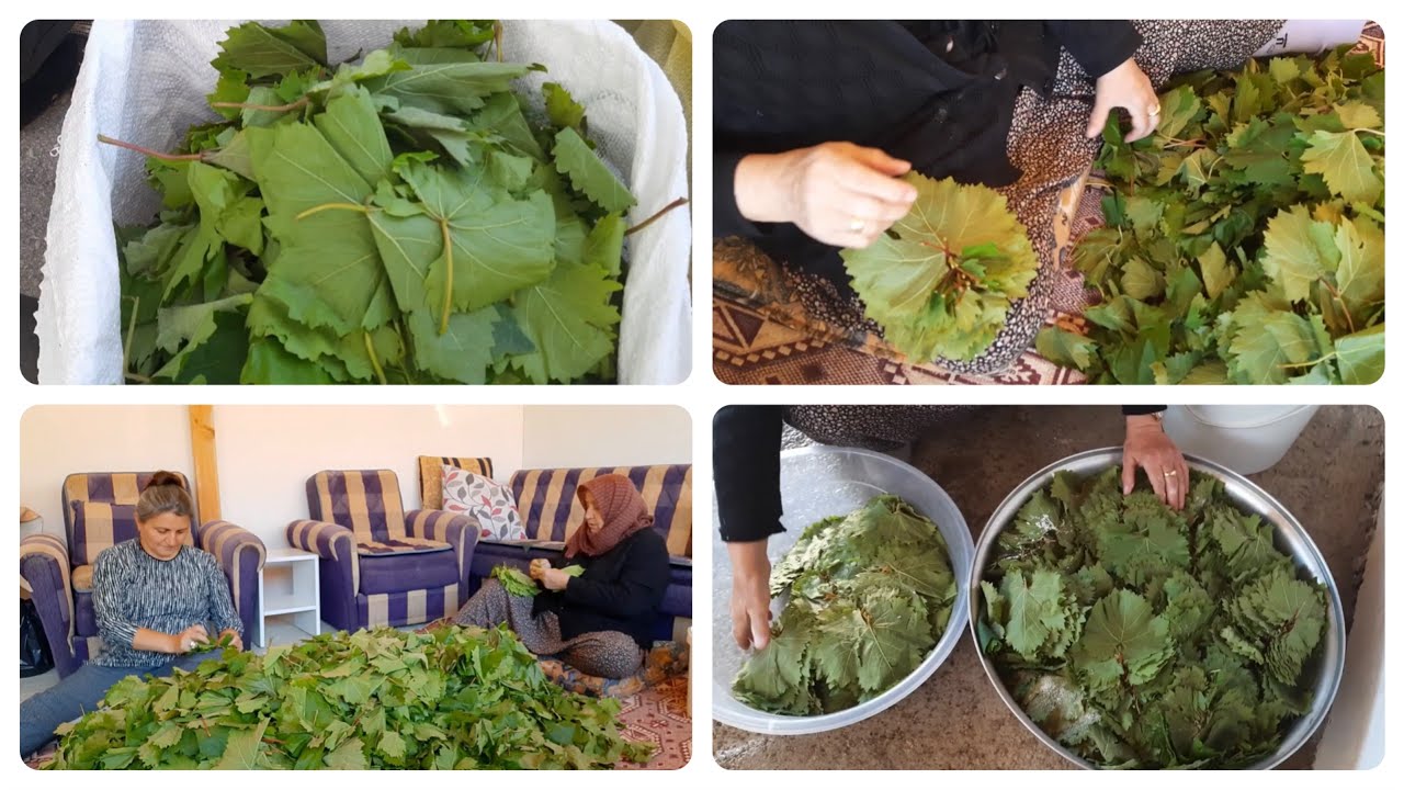 #SULUOVA SEMT PAZARI🙋‍♀️YAPRAK ALDIM#VLOG