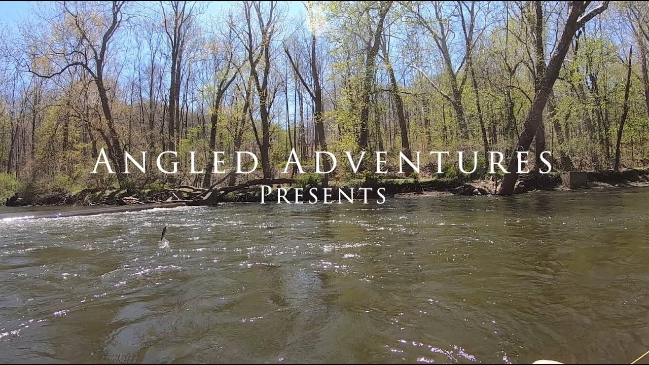 Fly Fishing the NJ Paulinskill River, Apr 2022