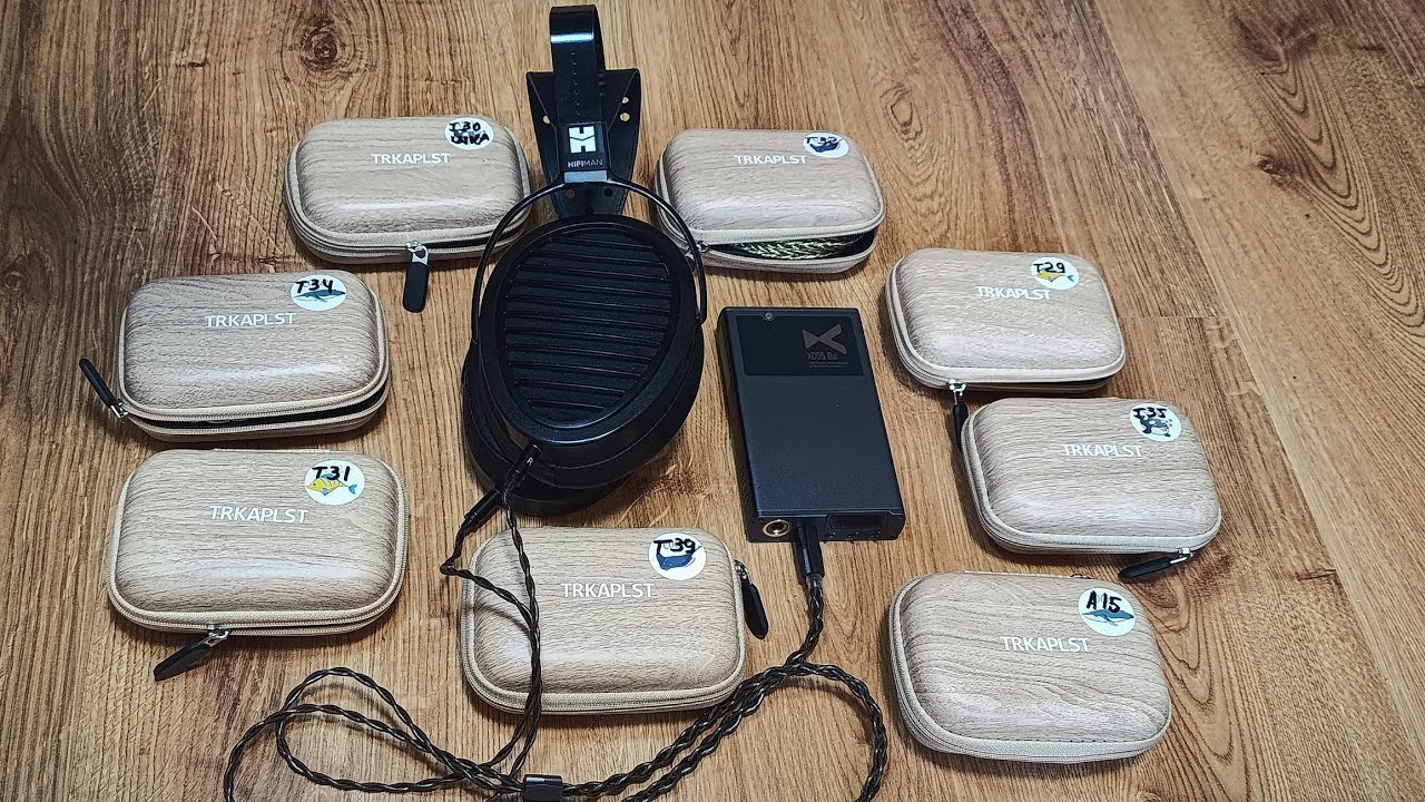 Кабели TRKAPLST для Hifiman Arya. 