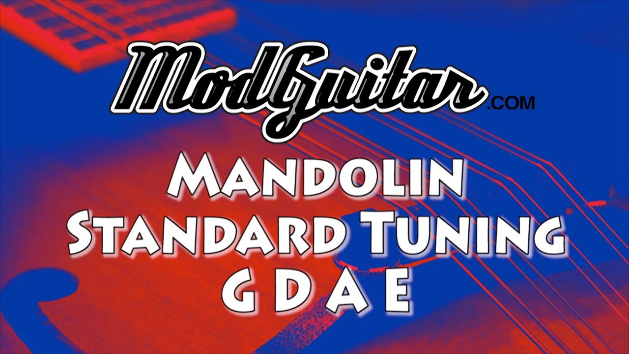 Mandolin Tuner Standard GDAE