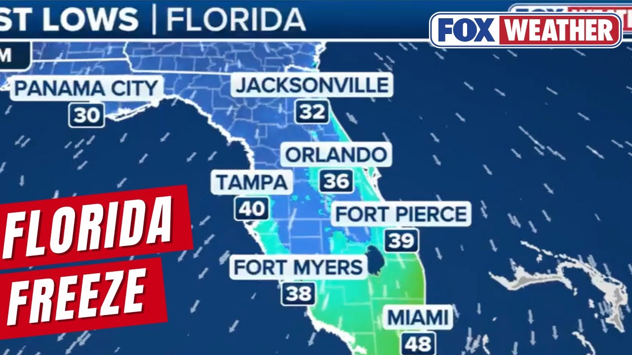 Rare Deep Freeze Underway In Florida As Intensifying Bitter Blast Stretches As Far South As Miami