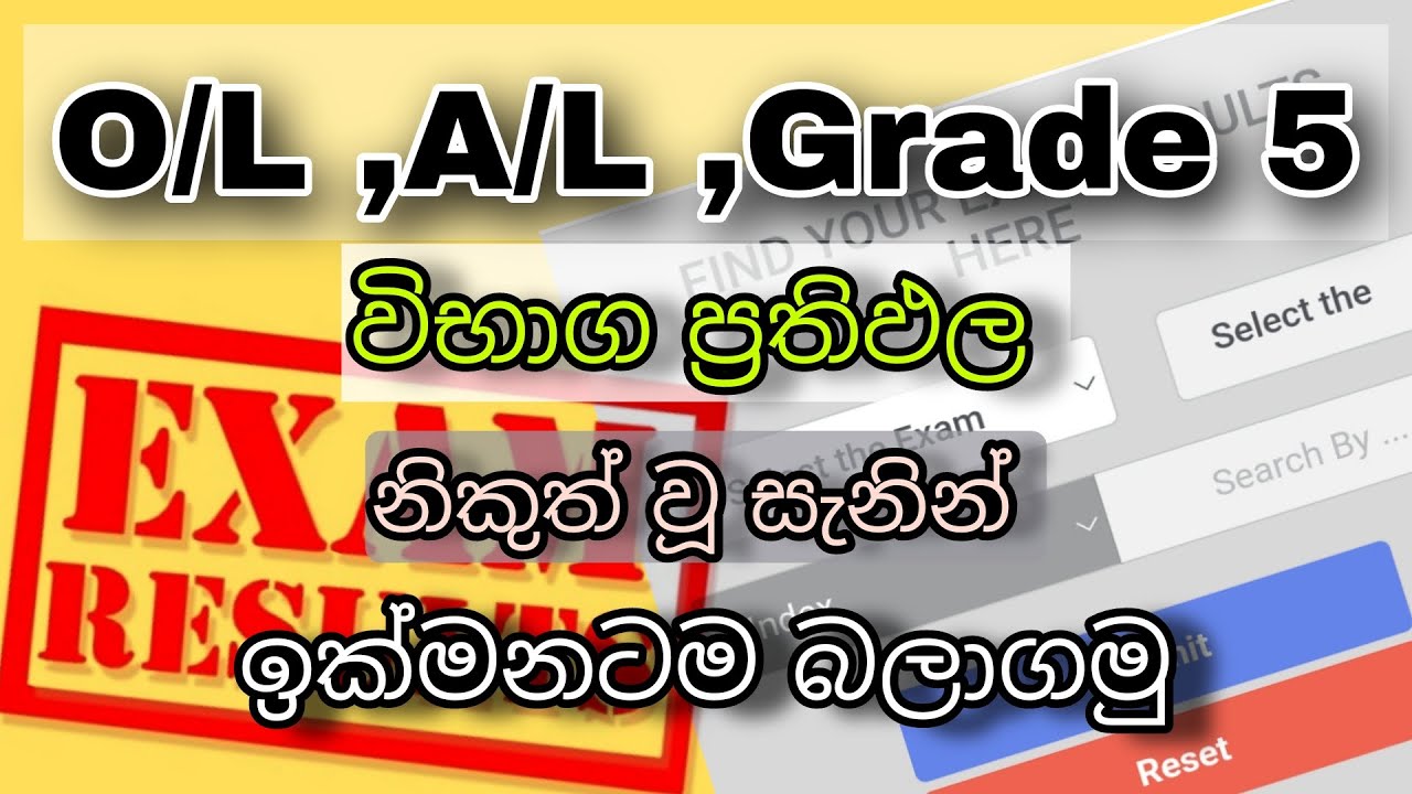 How to Check Exam Results 2021 | A/L O/L Grade 5 Scholarship Exam | Exam Results Sinhala | Dlanka