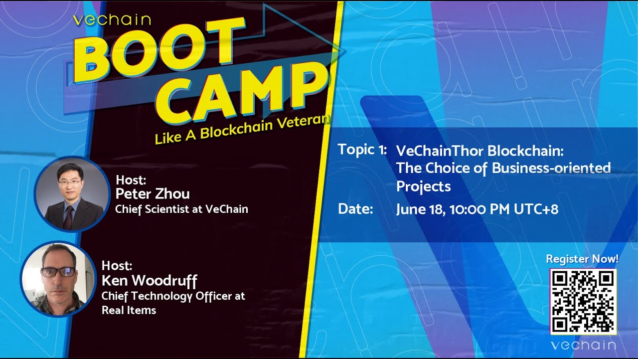 VeChainThor Blockchain: The Choice of Business-oriented Projects