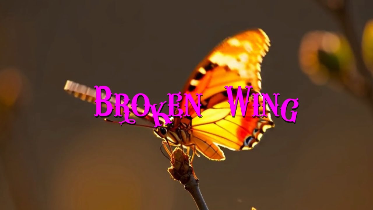 Broken Wing