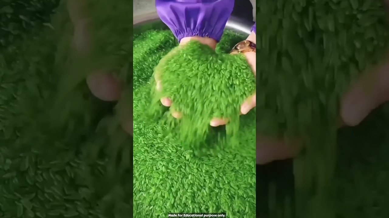 Bamboo rice in china