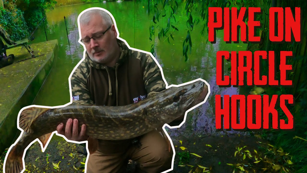 Pike fishing with Circle Hooks !