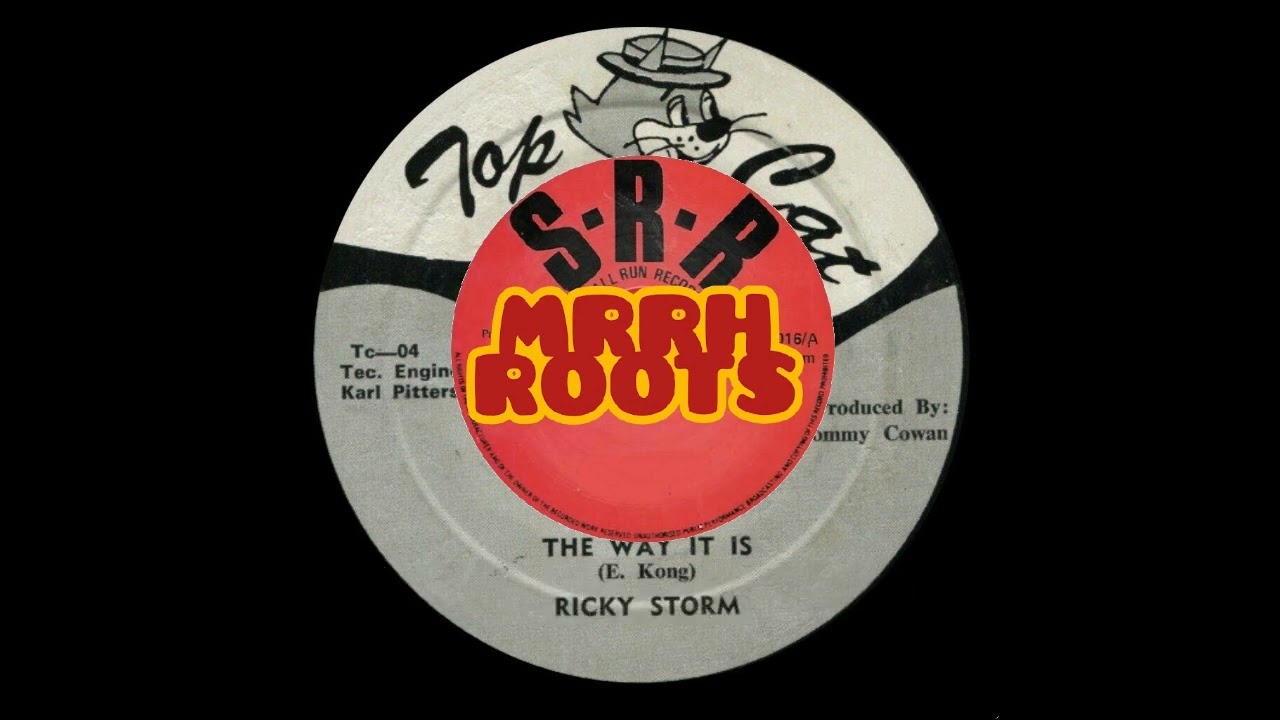 Ricky Storm  &ndash;  The Way It Is     MRRH