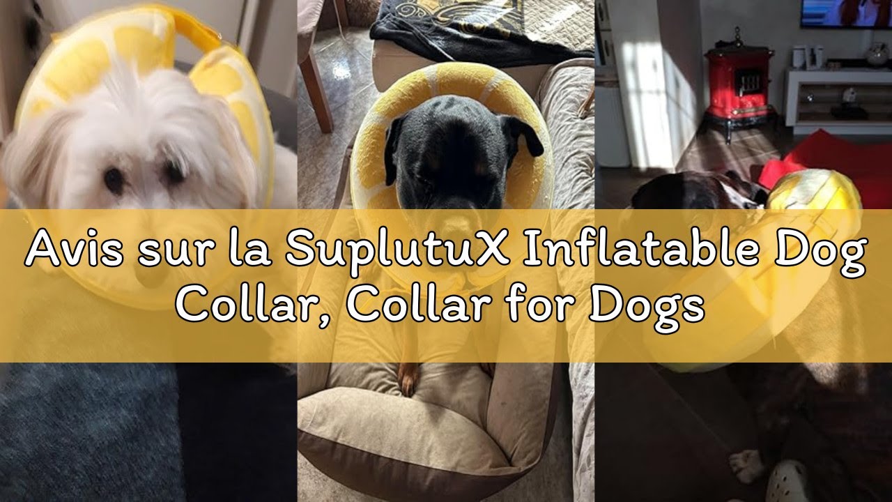 Avis sur la SuplutuX Inflatable Dog Collar, Collar for Dogs and Cats, Anti-Licking Dog Collar for He