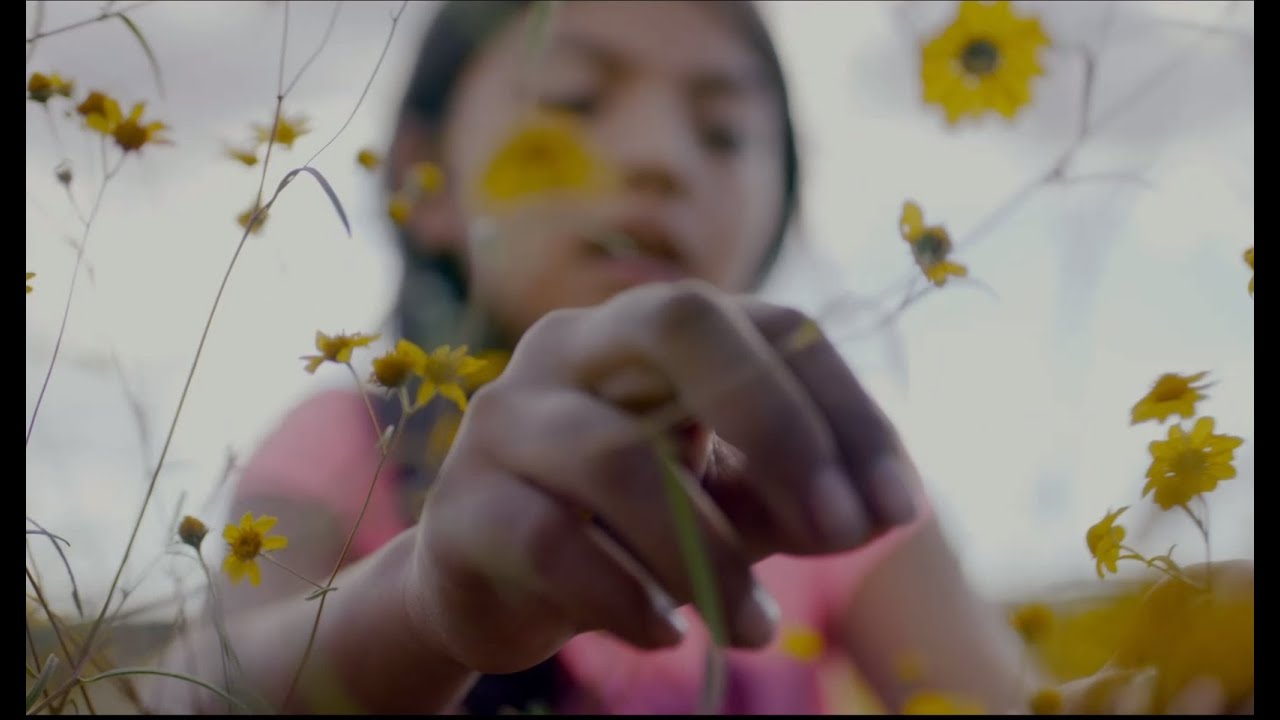 2020 Human Rights Watch Film Festival Trailer New York