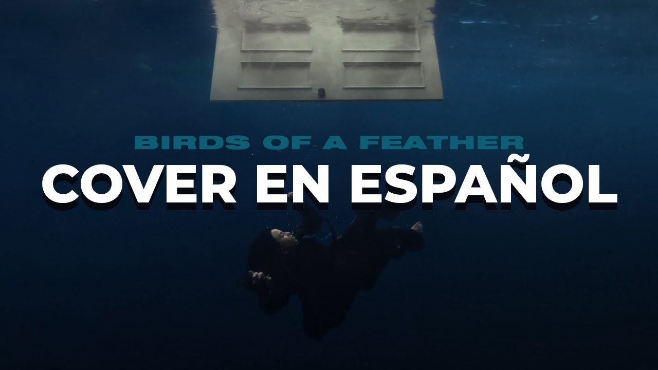 Birds of a Feather - Billie Eilish (Cover en Español - Spanish Cover por Ilurama)