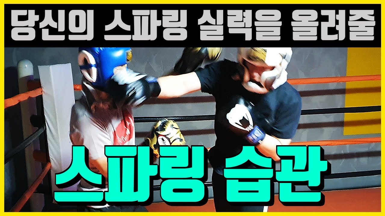 (복싱 스파링 팁과 기술)당신의 스파링 실력을 키워줄 스파링 습관 만들기