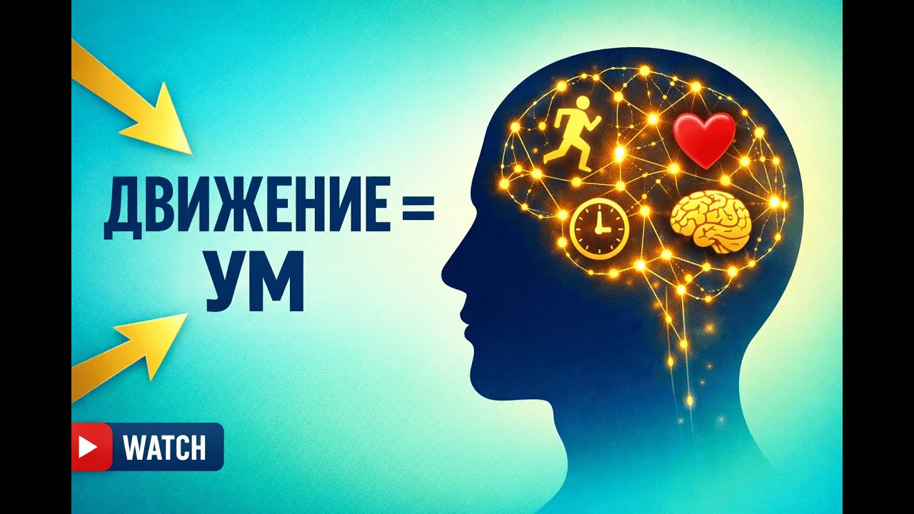 Фитнес для мозга: что происходит с мозгом, когда ты тренируешься