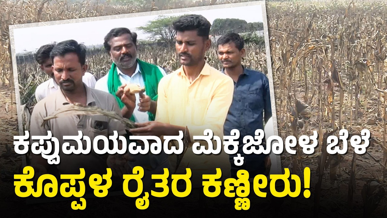ಕೊಪ್ಪಳ ಕಾರ್ಖಾನೆ ದೂಳು: ಮಾಲಿನ್ಯ ತಪಾಸಣೆ ವೇಳೆ ಫ್ಯಾಕ್ಟರಿ ಬಂದ್ | Koppal factory pollution | Suvarna News