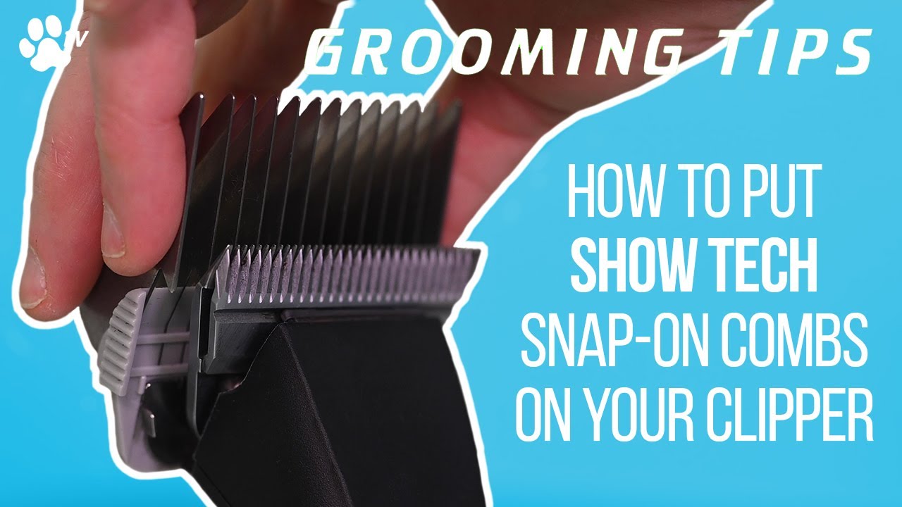 How to attach Show Tech snap-on combs | Grooming Tips - TRANSGROOM