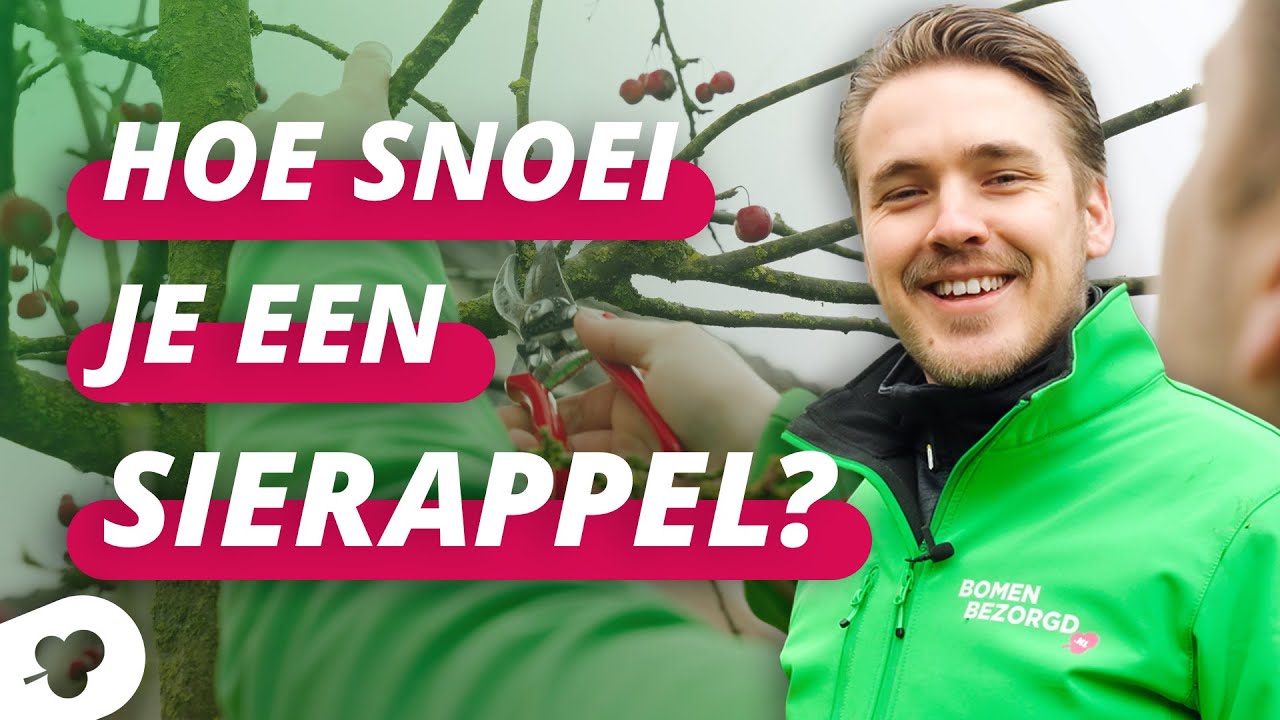 Hoe snoei je een sierappel? | SnoeiTips #29