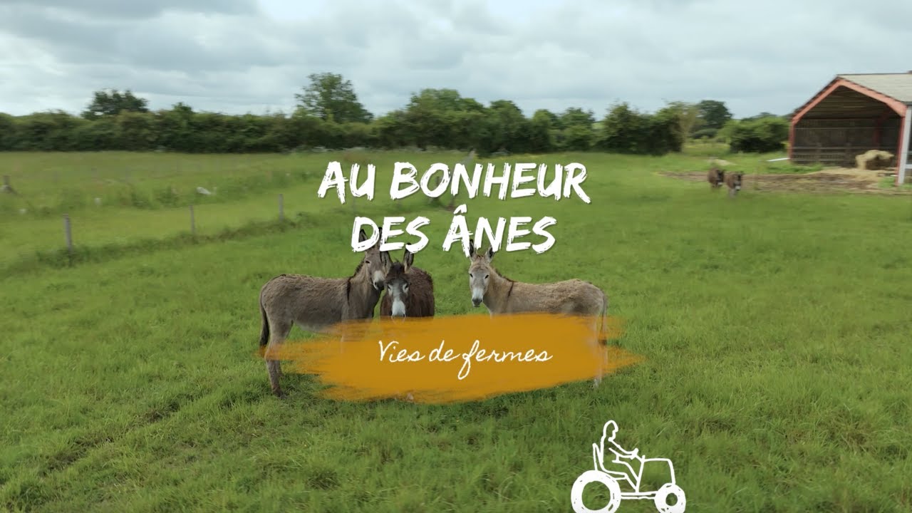 Vies de fermes - Au bonheur des ânes
