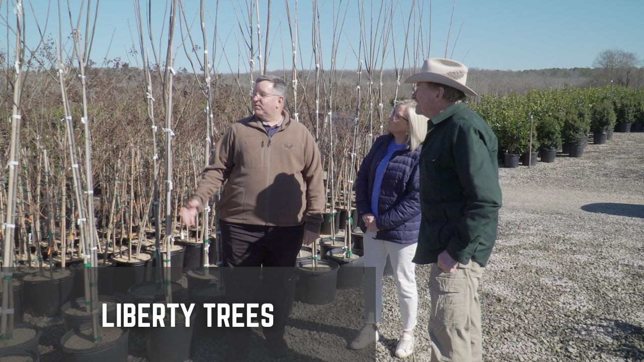 Show 1210B Liberty Trees and American Village