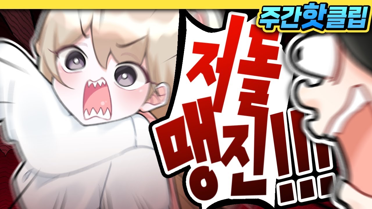 멧나은을 겪은 스트리머의 반응 ㅋㅋㅋ -【 11월 하이라이트② 】