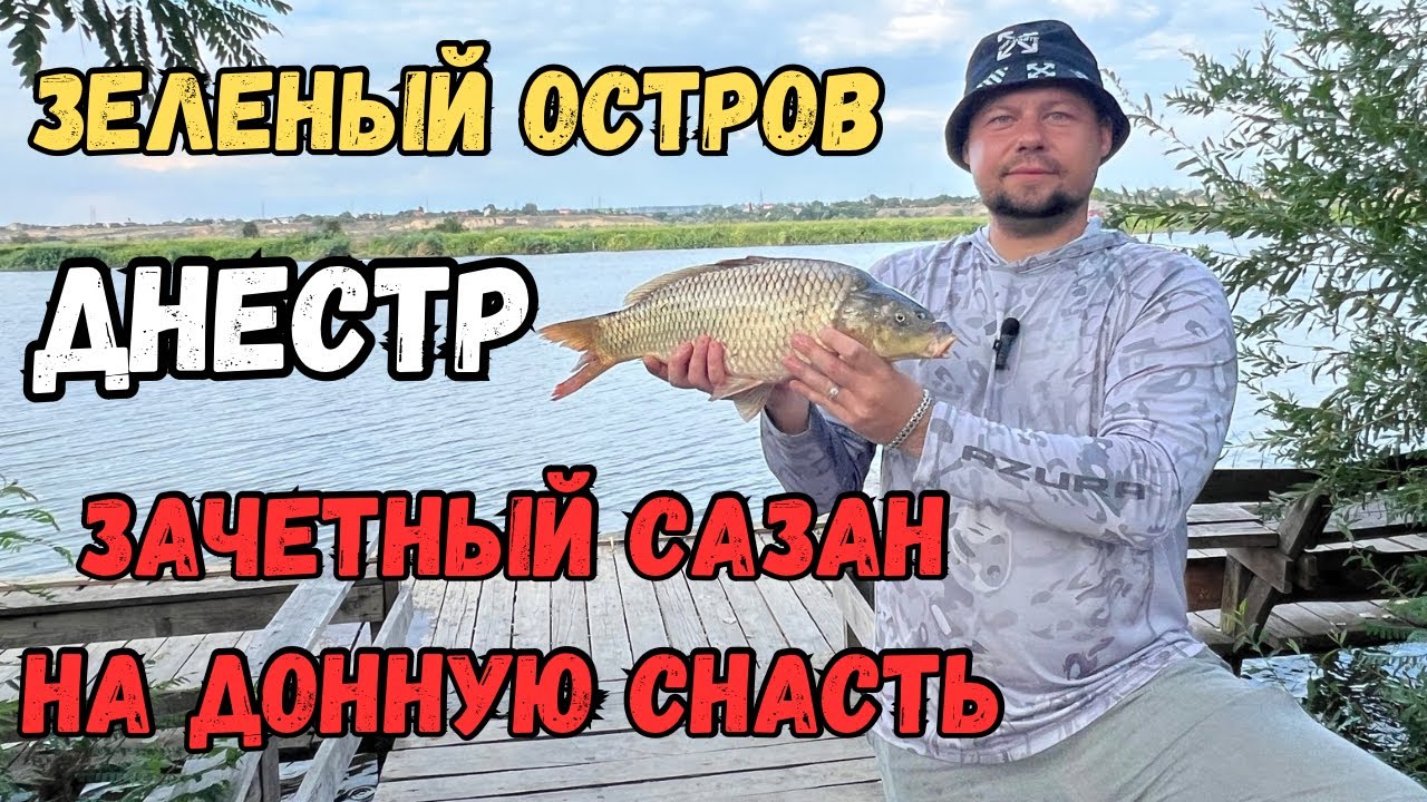 Зеленый остров, Днестр 42 км. Зачетный сазан на донную снасть. #рыбалка #днестр