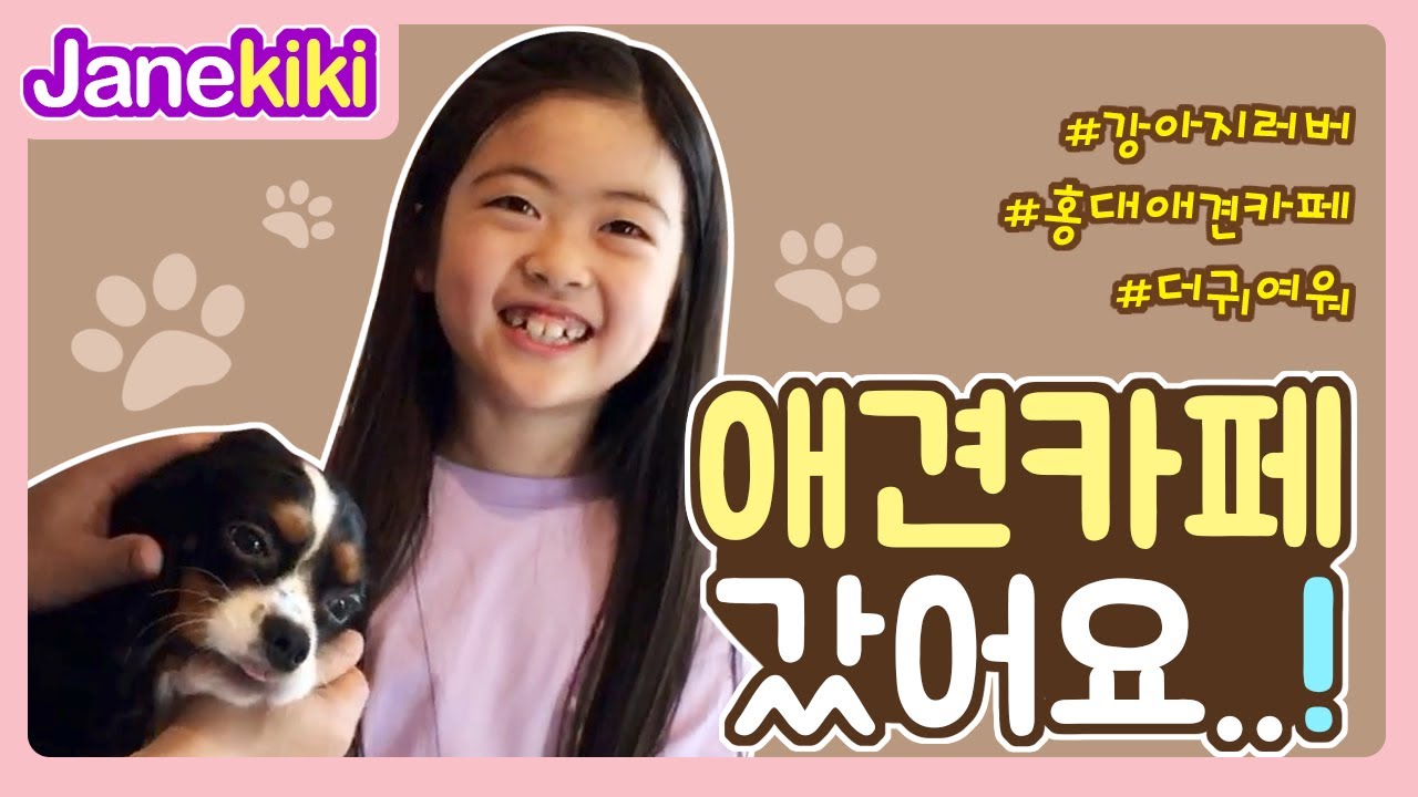 [애견카페] 댕댕이들 만나러 갔어요! / 일상 / vlog