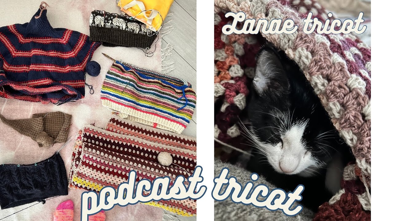 12 projets en cours! Challenge: on les finit tous - Podcast 95 - Lanae tricot
