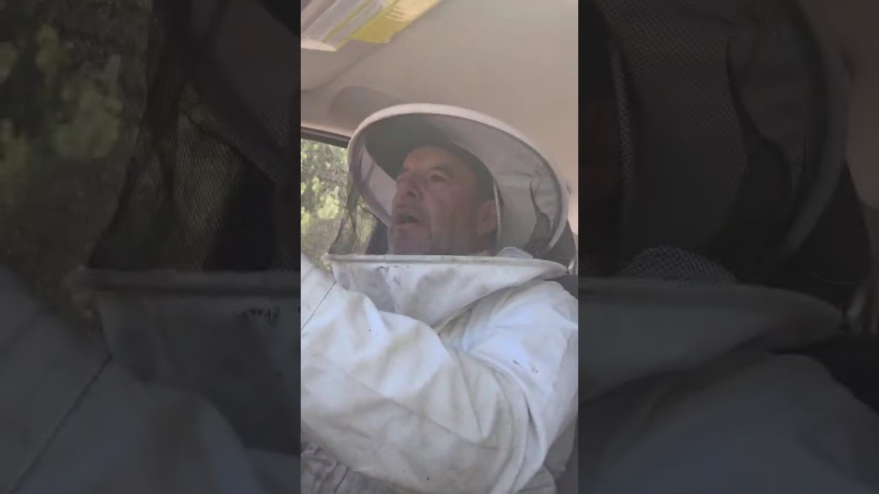 TRUCOS Y CONSEJOS al momento de tener todo ordenado al momento de cosechar las alzas en campo