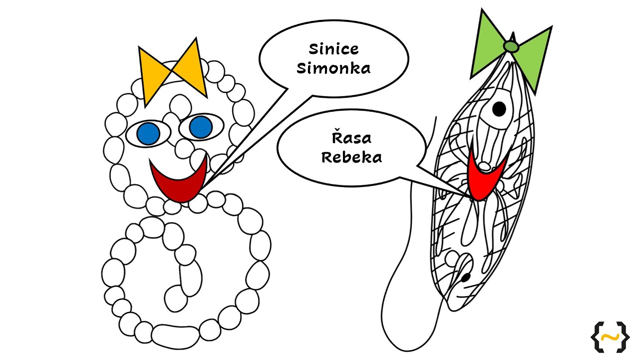Hrátky se Simonkou a Rebekou (Výukové video na téma sinice a řasy pro 2. stupeň ZŠ)