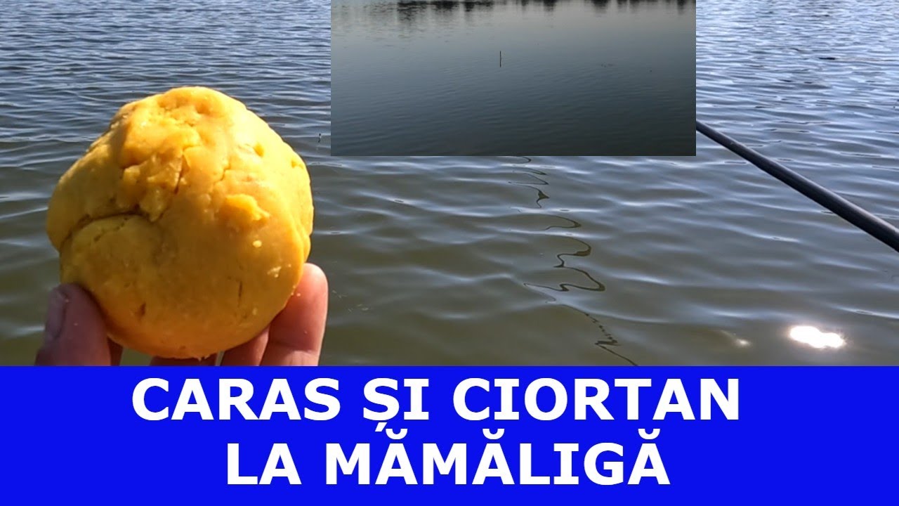 PESCUIT PE OLT LA PLUTĂ-FRUMOASĂ PARTIDĂ!