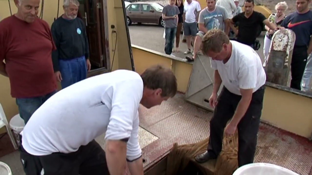 VD Visserij en Visbewerkingen Deel 1 van 2 op 11 9 2023