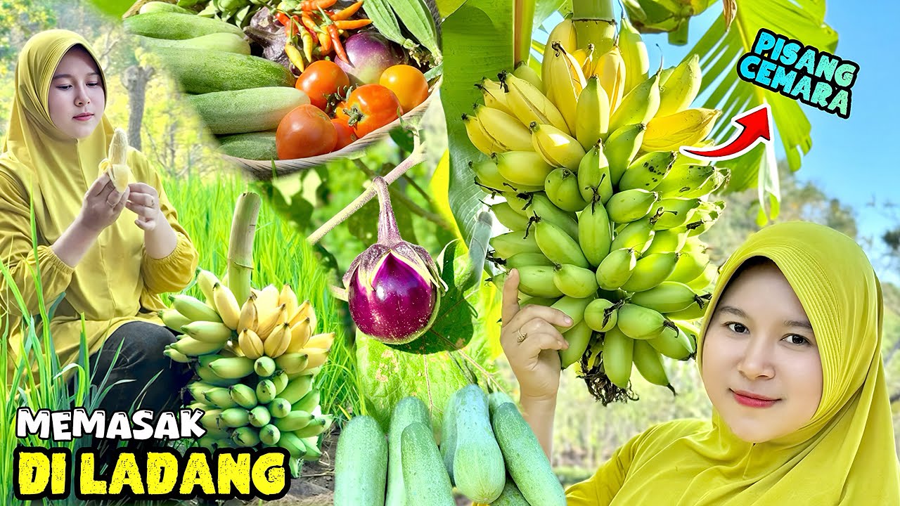 Petik buah dan sayuran | Memasak di ladang