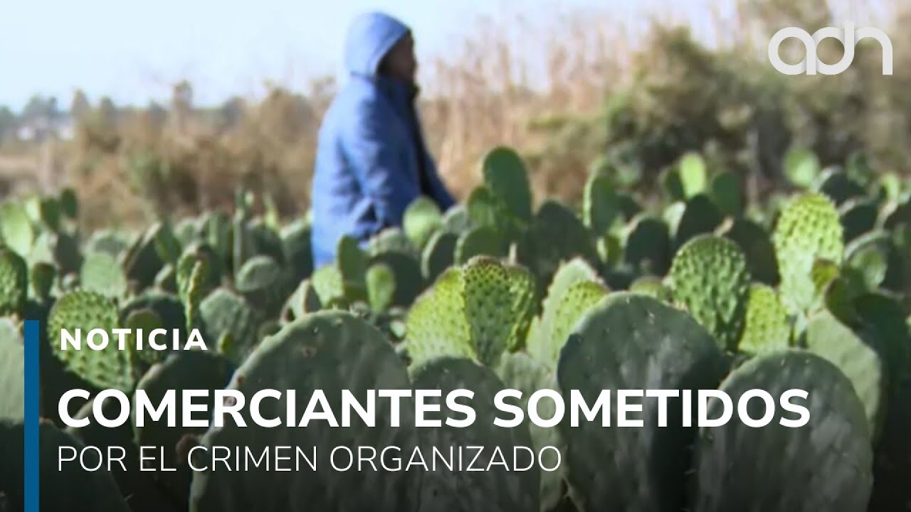 Comerciantes hartos y atemorizados por la extorsión que controla sus negocios