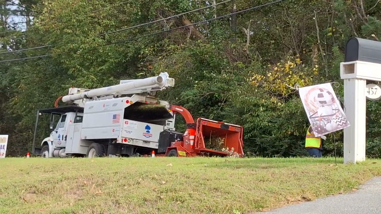 Cartersville Electric: Trees To The Wood Chipper. Cartersville GA.