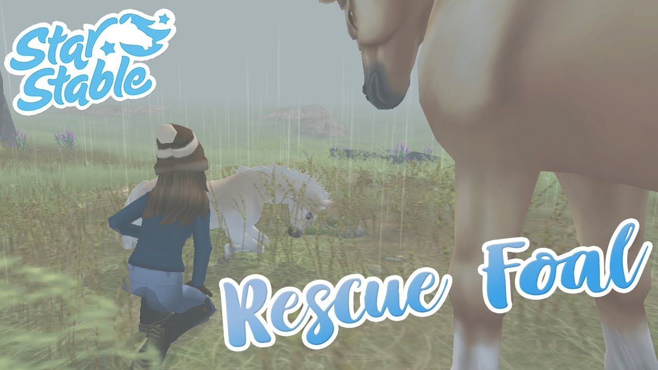 Rescuing a Wild Foal!! 🐴🌟 Star Stable Online