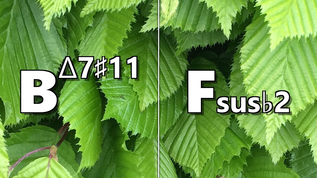 Bmaj7#11 to Fsus b2 Backing Track