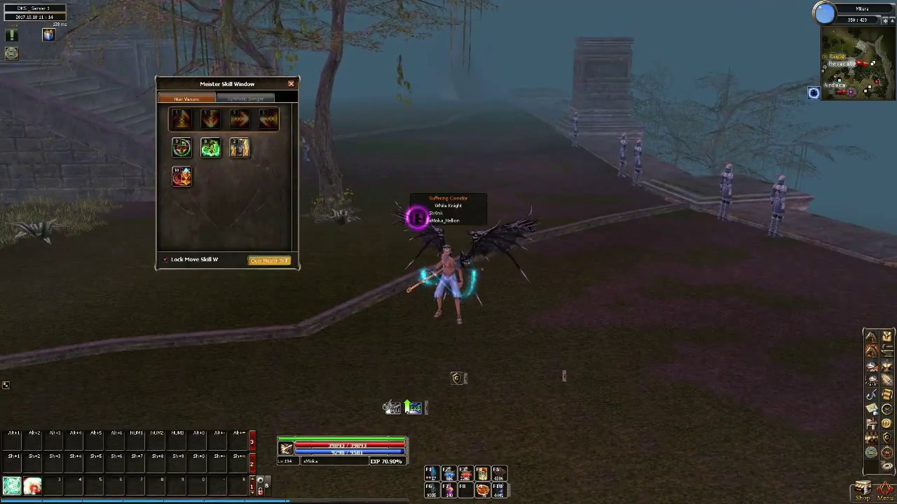 Dekaron Global - Change My Meister Skill (TwinSword for Staff)