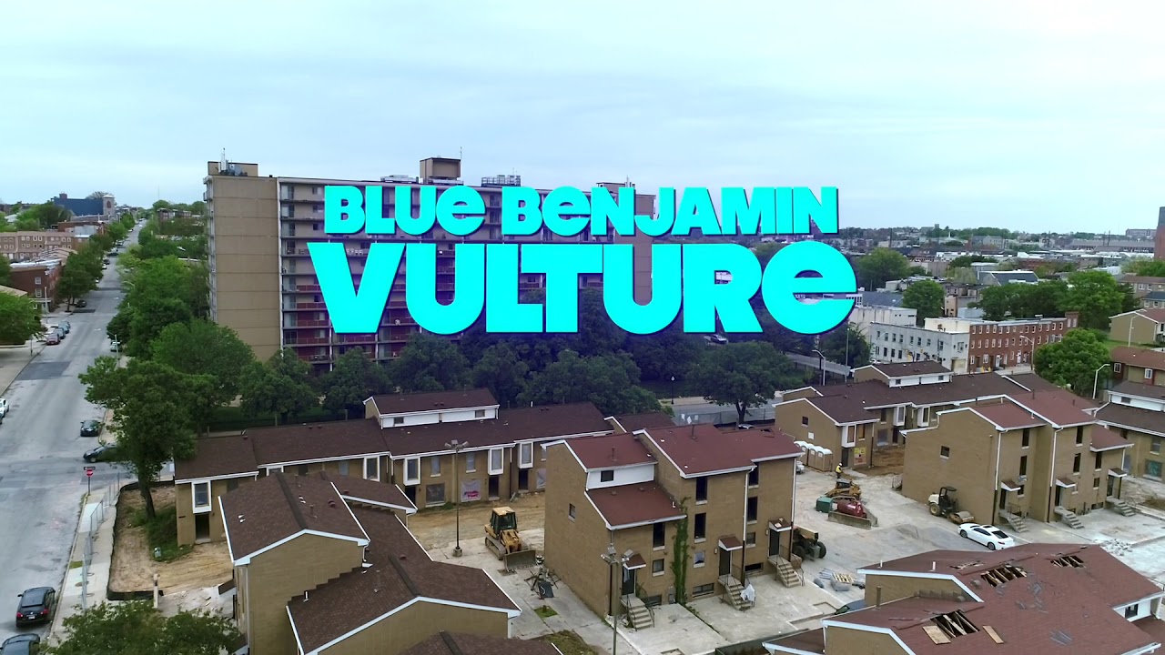 Blue Benjamin Vulture