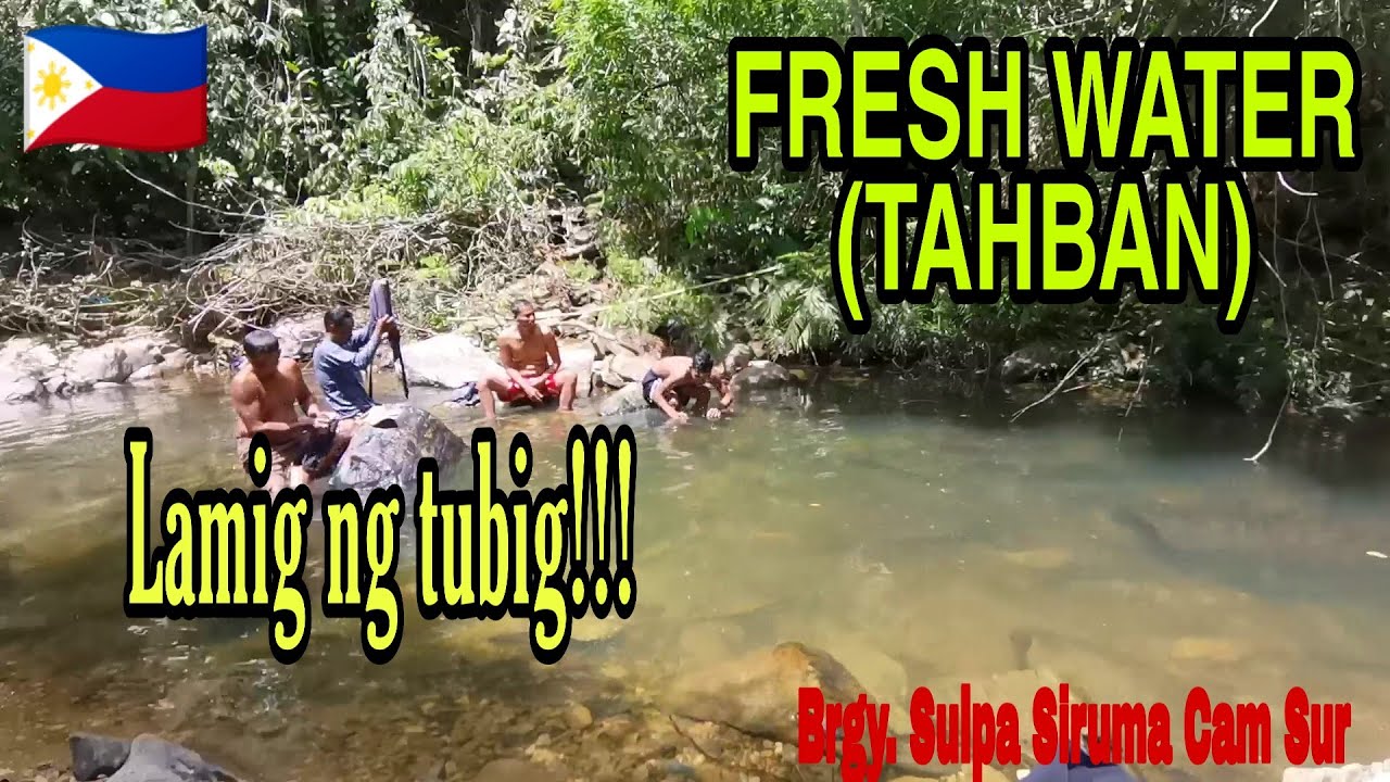 FISHERMAN HOBBY/ FRESH WATER/ SAPA/TABAN/ BRGY. SULPA SIRUMA CAM SUR