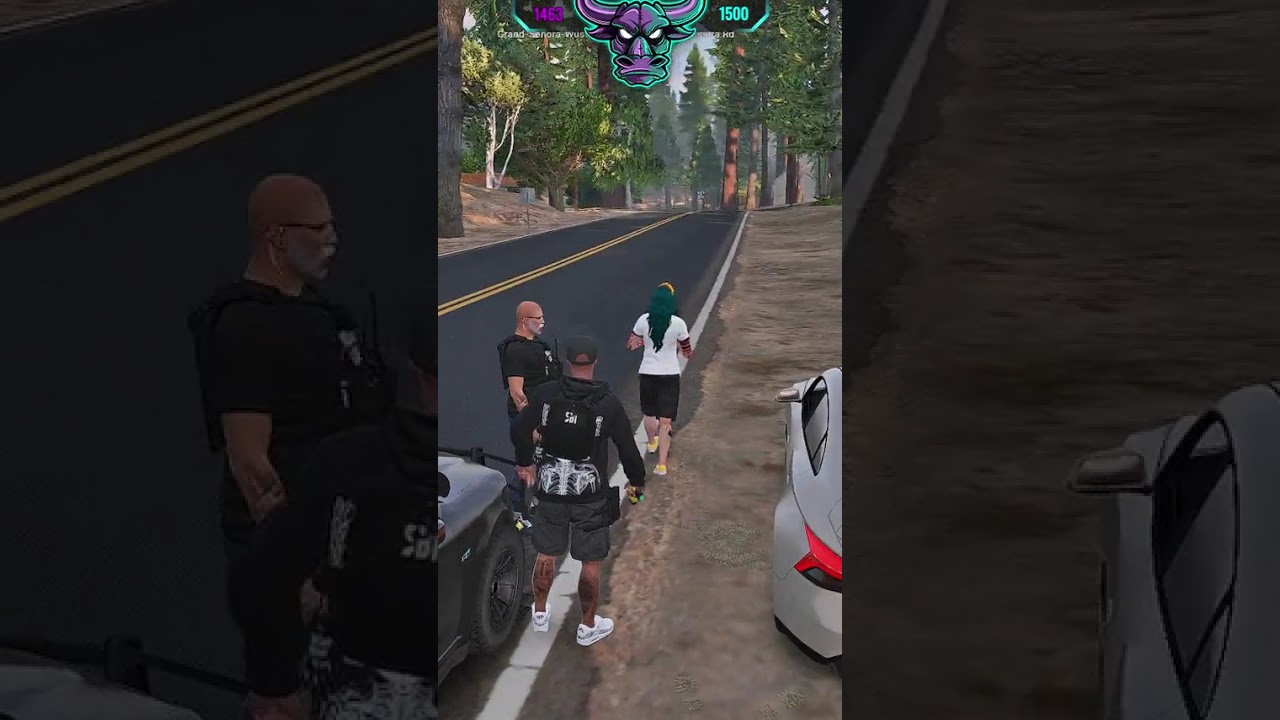 Wenn man es drauf anlegt. #unitylife #gta5rp #cop #Unity-life #unitylifede #unityliferp #twitch