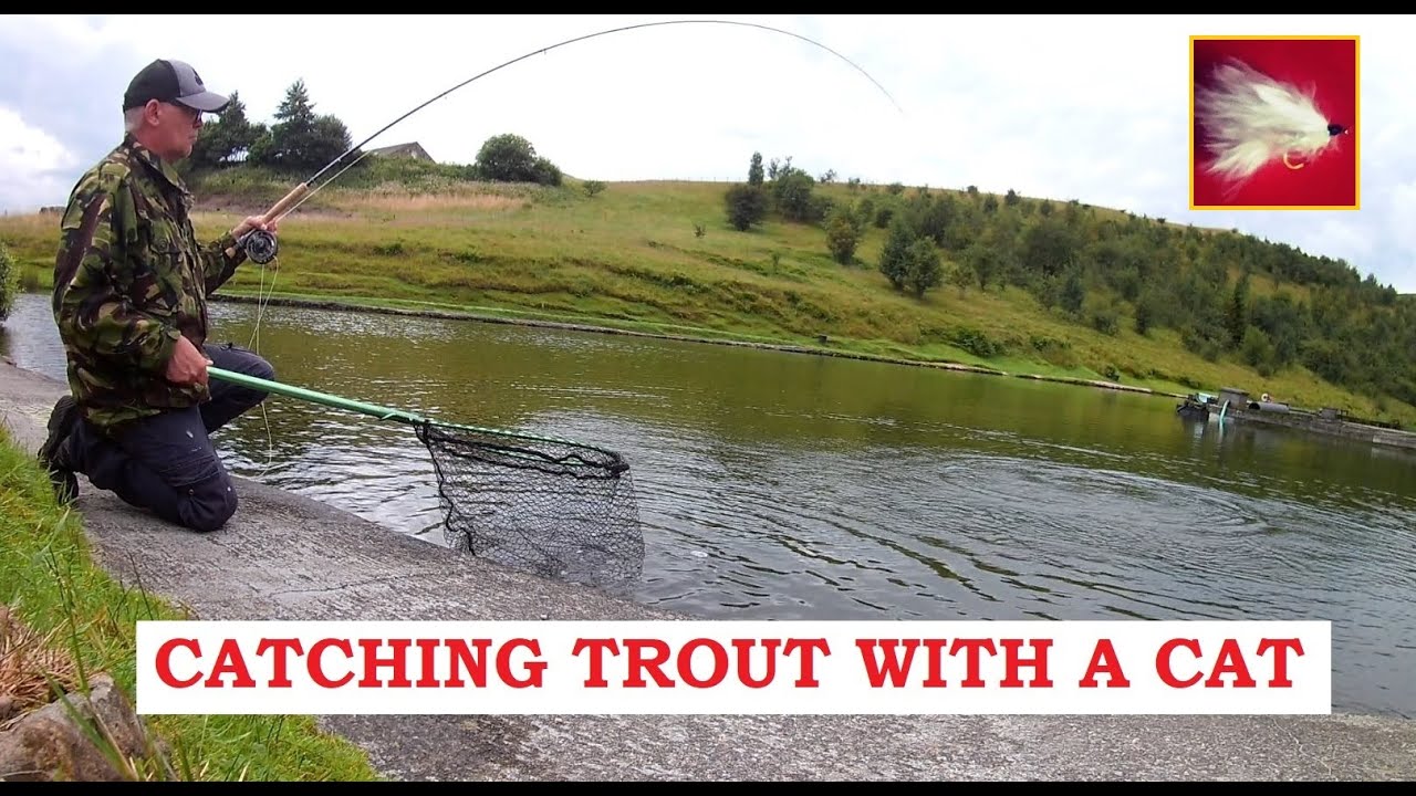 23. Trout Fly Fishing Tips UK ( Fritz Cats Whisker ) How to Catch Trout