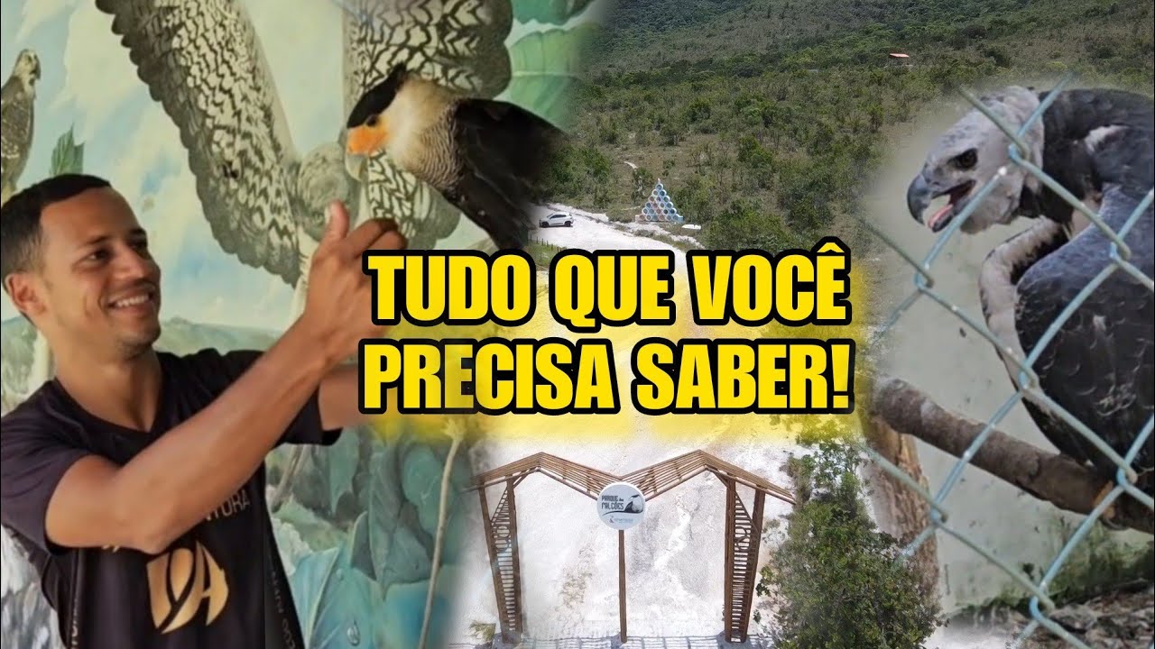 Parque dos Falcões ITABAIANA-SE