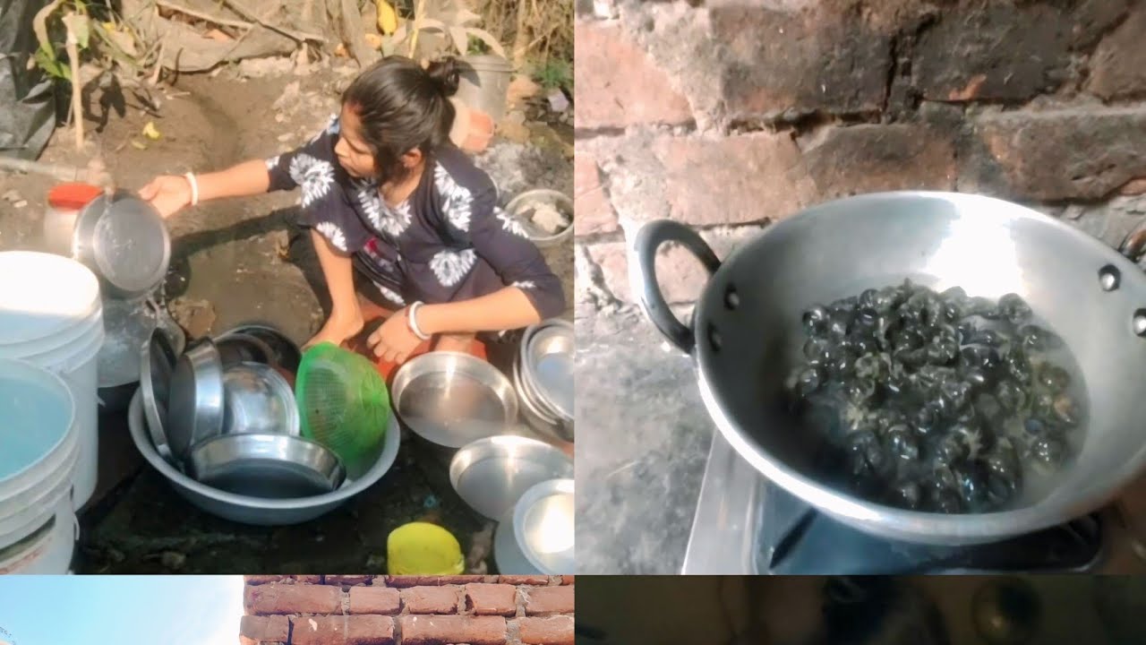 আজকে কি কি করলাম দেখো বন্ধুরা #viralshort 
