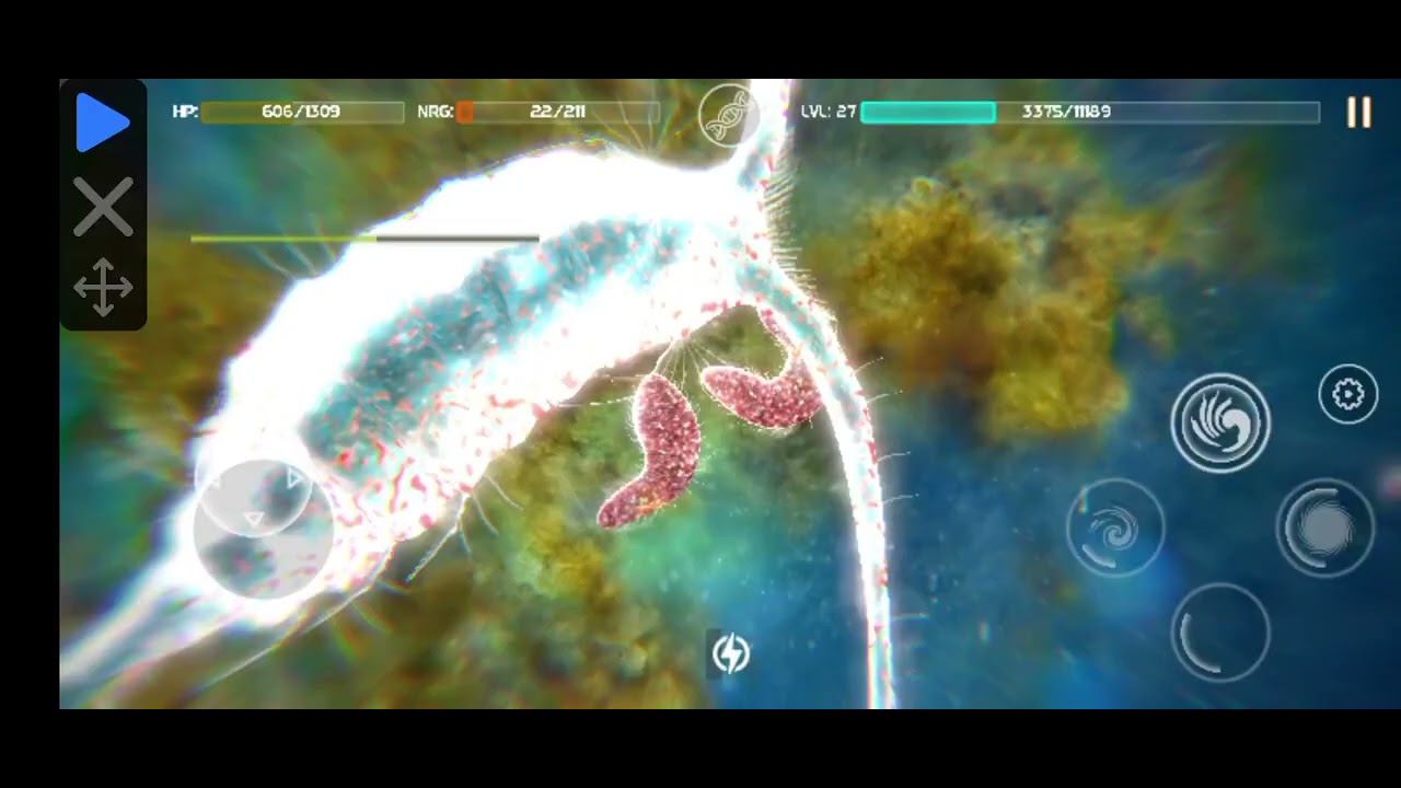 Infusoria vs copepod calanoid