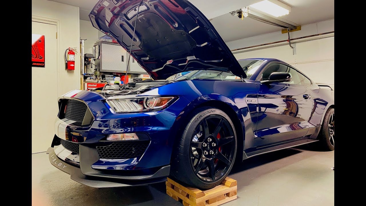 Shelby GT350R First Oil Change | Driven Racing Oil