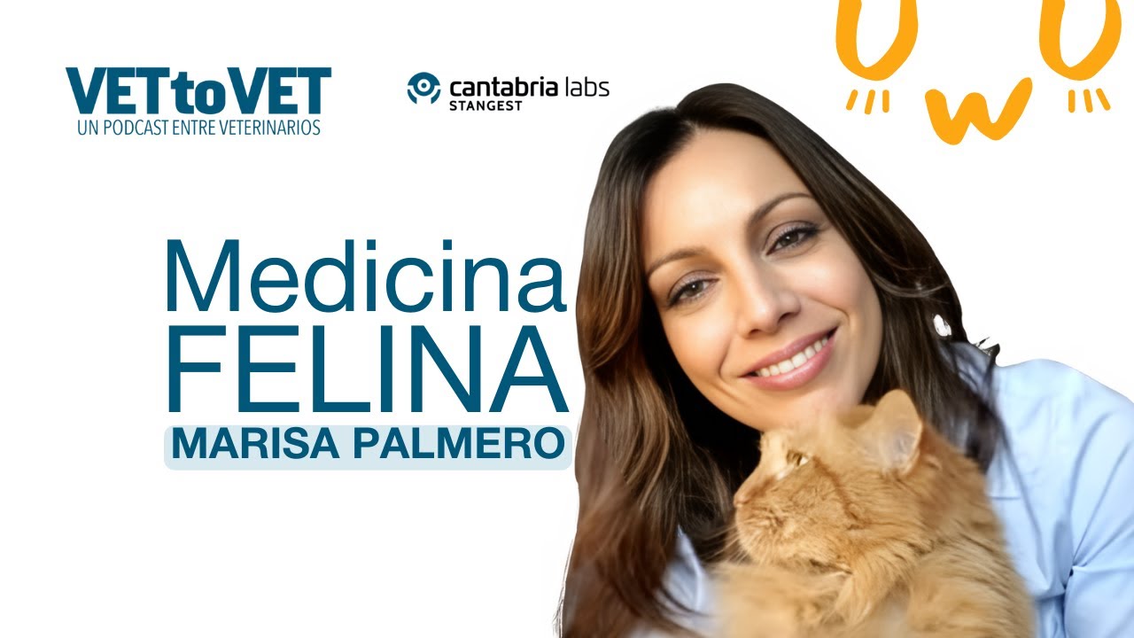 E4 Podcast Vet to Vet: Medicina felina