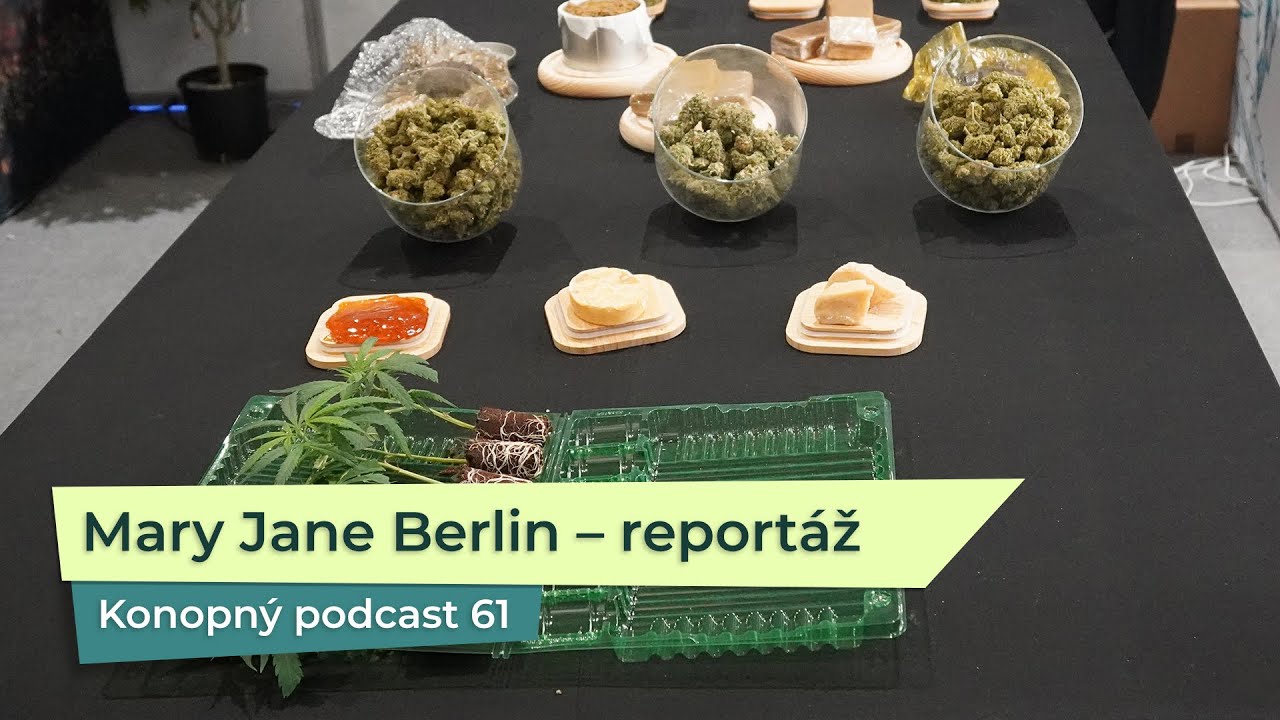 KP 61: Mary Jane Berlin 2024 Mary &ndash; Konopn&eacute; kluby a dom&aacute;c&iacute; pěstov&aacute;n&iacute;