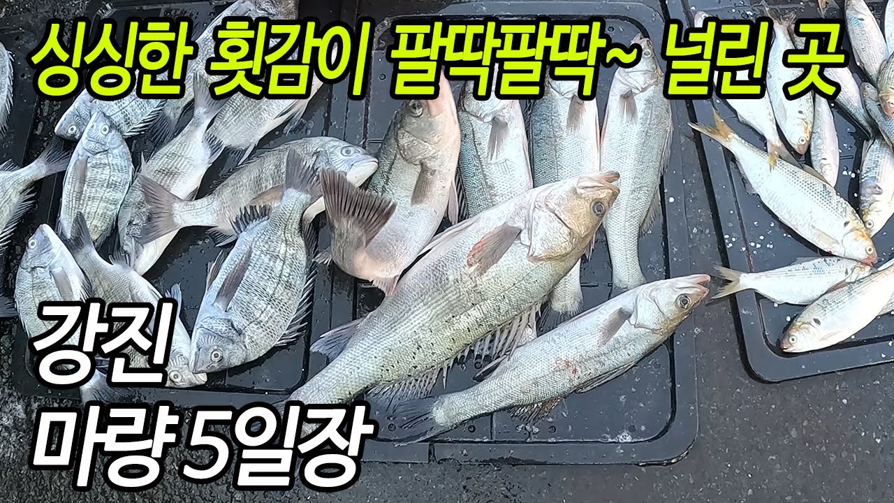 강진 마량 오일장, 팔딱팔딱 뛰는 수산물이 저렴해 초장만 챙기면 끝~
