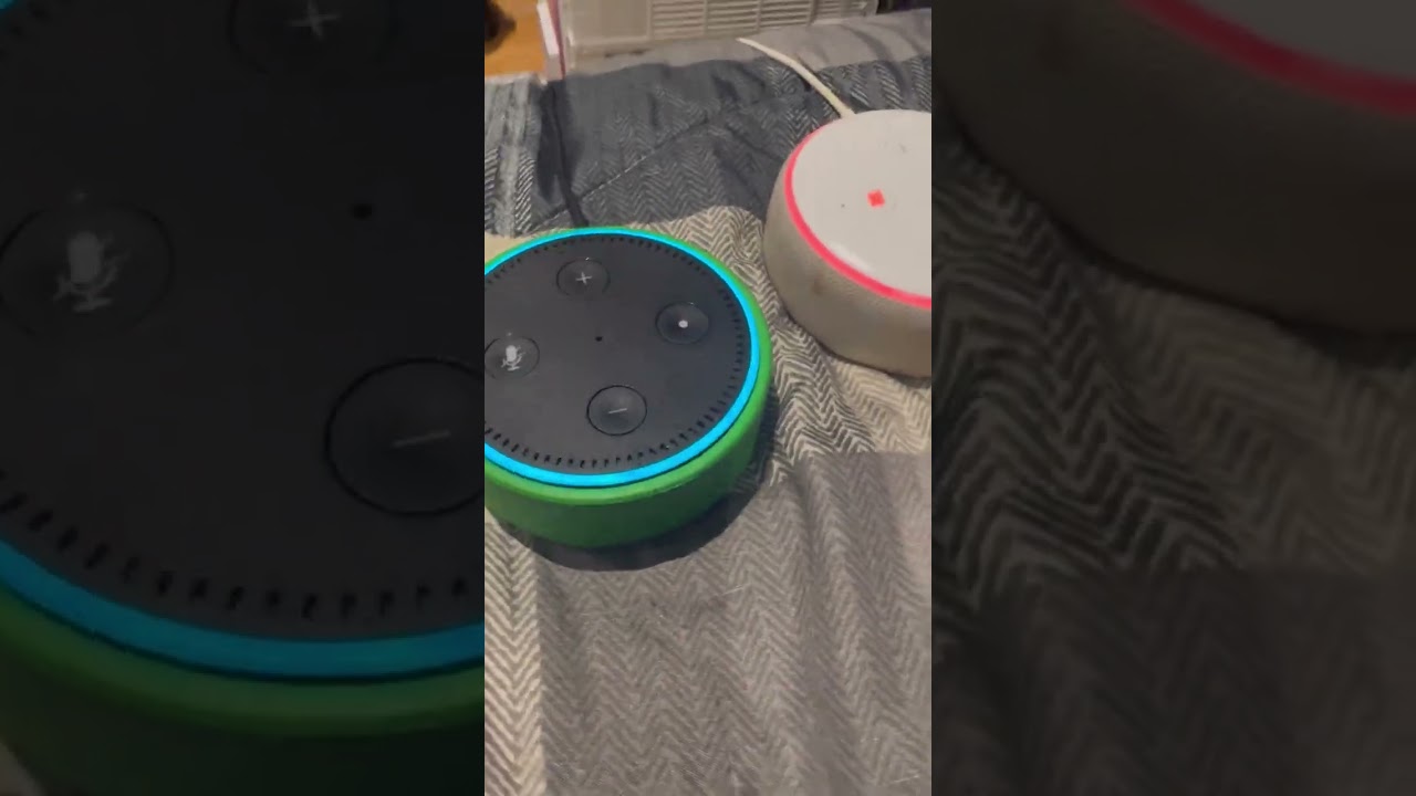 Me and my Amazon Echo shopping list with 145 items on it in the United States language. 