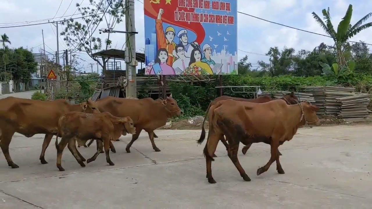 Đường tắt vào phố cổ
