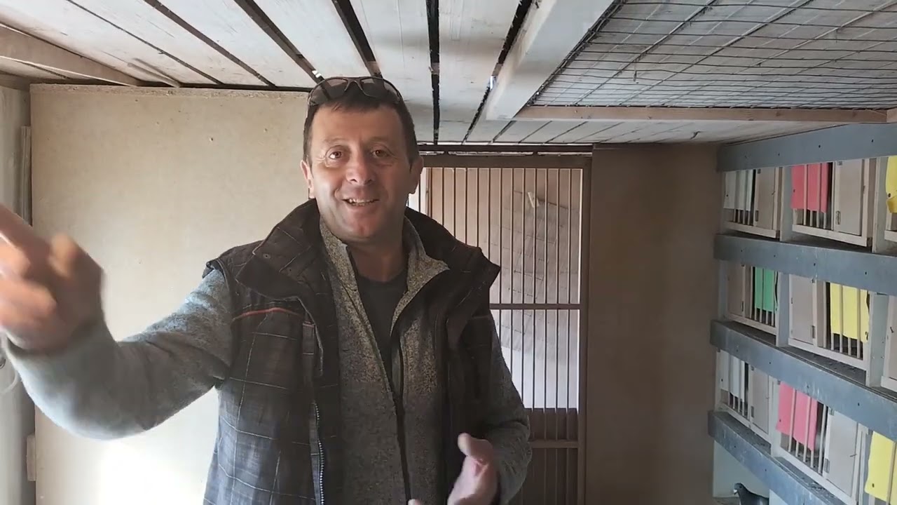 Lotul de zbor 2023-Pop Ciprian-multiplu Campion Național (BN).🕊️🕊️🕊️